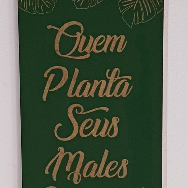 Plaquinha Quadro Decorativo Quem Planta Seus Males Espanta - Imagem 3